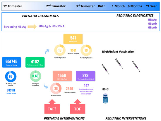Viruses, Vol. 15, Pages 91: Hepatitis B and C in Pregnancy and Children: A Canadian Perspective