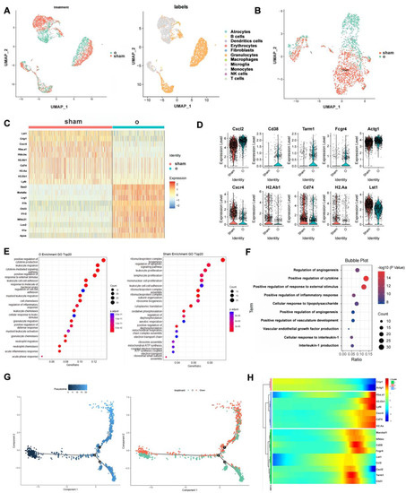 Cells, Vol. 12, Pages 135: CD301b+ Macrophages as Potential Target to Improve Orthodontic Treatment under Mild Inflammation