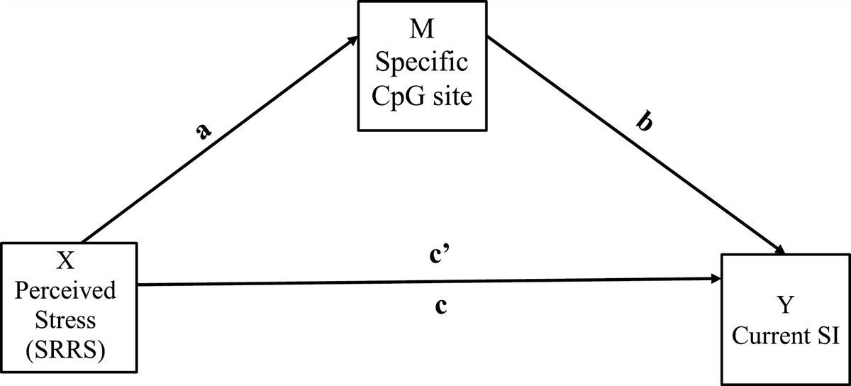 Mediating effect of genome-wide DNA methylation on suicidal ideation induced by stressful events