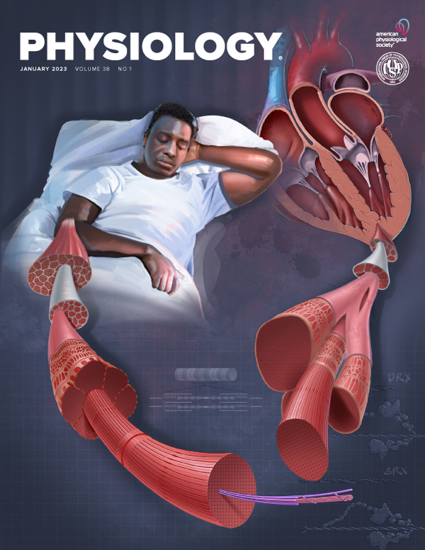Precision Medicine Approaches to Mental Health Care