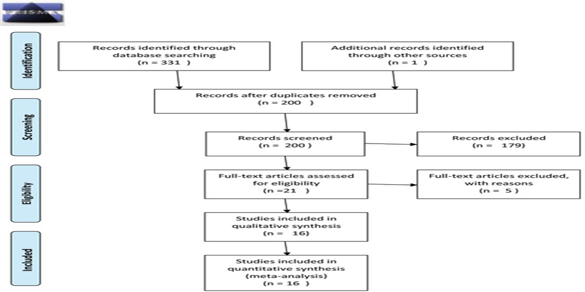 The Effects of Exercise Programs on Exercise Capacity and Quality of Life in Patients Who Have Undergone Non-Small Cell Lung Cancer Treatment: A Systematic Review
