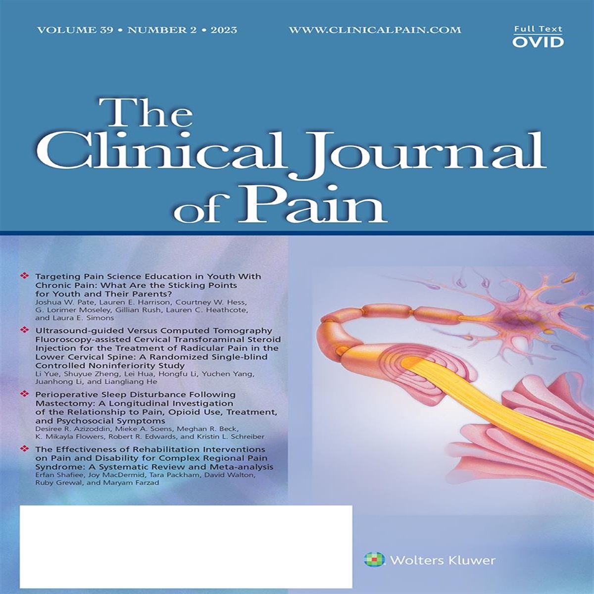 Promoting Inclusion, Diversity, and Equity in Pain Science