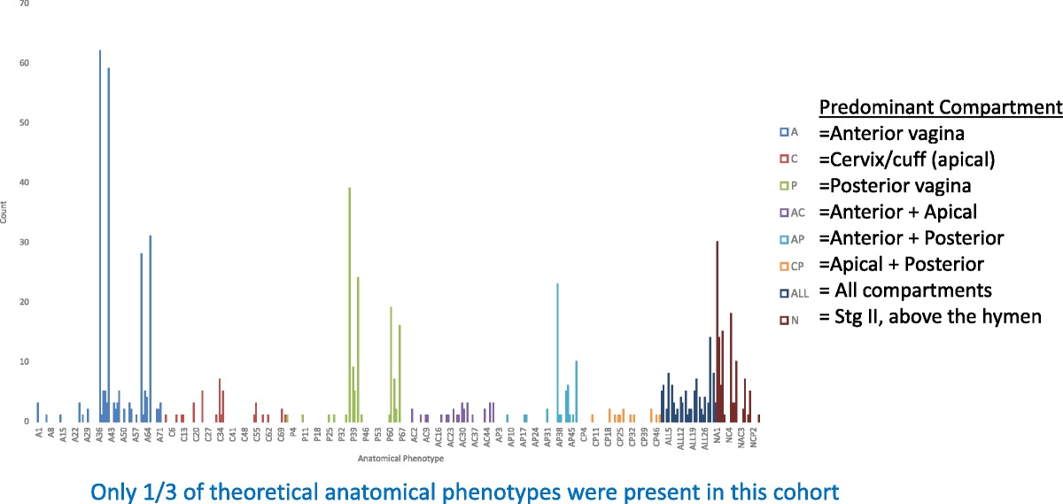Symptom and Anatomical Phenotypes Provide Insights Into Interactions of Prolapse Symptoms and Anatomy