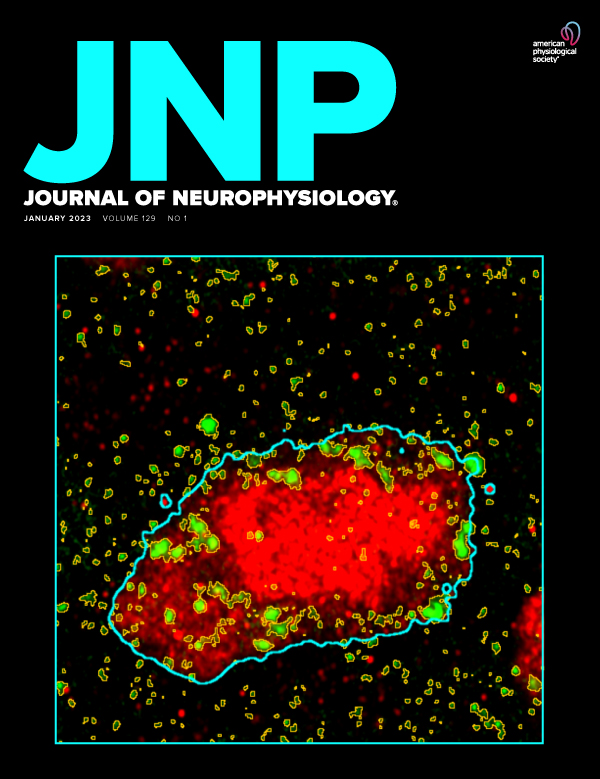 Loss of ETV1/ER81 in motor neurons leads to reduced monosynaptic inputs from proprioceptive sensory neurons