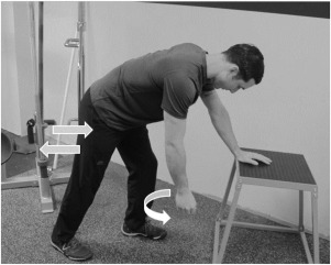 Postoperative Rehabilitation After Superior Labrum Anterior Posterior Repair