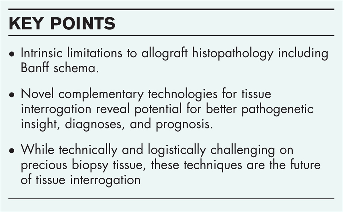 Allograft tissue under the microscope: only the beginning
