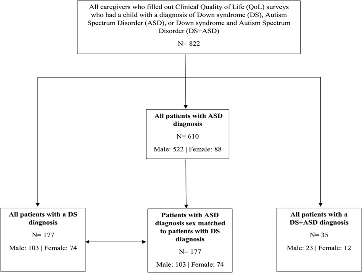 Quality of Life and Family Impact in Down Syndrome, Autism Spectrum Disorder, and Co-occurring Down Syndrome and Autism Spectrum Disorder