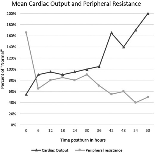 Critical Care of the Burn Patient
