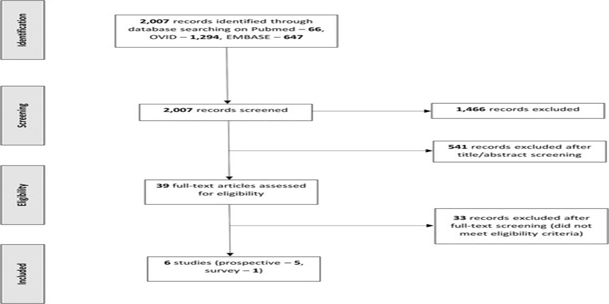 Cancer Pain and Frailty: A Scoping Review of How Cancer Pain Is Evaluated and Treated in the Frail and Elderly