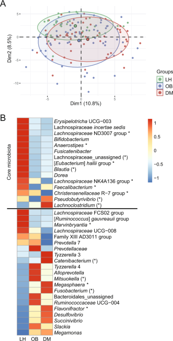 Multi-omics signatures in new-onset diabetes predict metabolic response to dietary inulin: findings from an observational study followed by an interventional trial