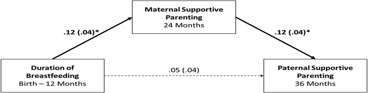 Duration of Breastfeeding and Supportive Paternal Caregiving in Early Childhood and the Potential Mediating Function of Maternal Caregiving