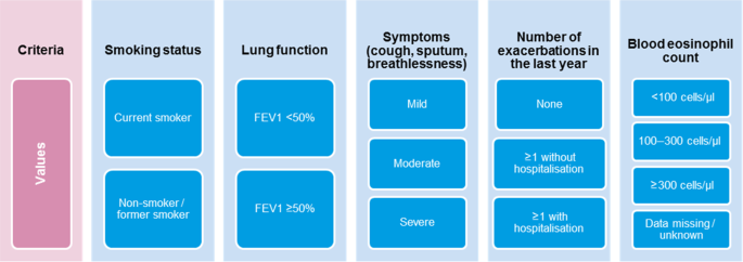 Investigating the rationale for COPD maintenance therapy prescription across Europe, findings from a multi-country study