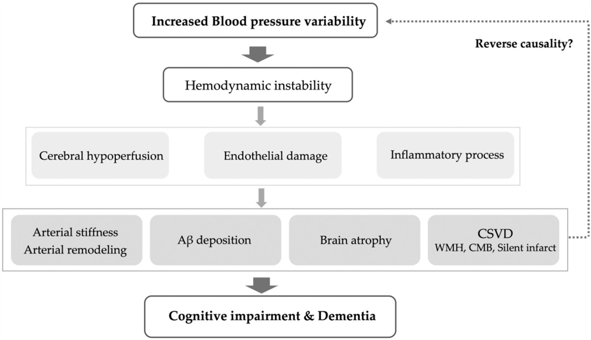 The impact of blood pressure variability on cognition: current limitations and new advances