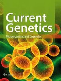 Insights from metagenome-assembled genomes on the genetic stability and safety of over-the-counter probiotic products