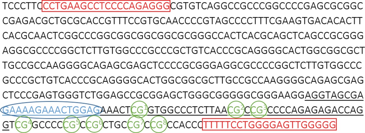 Differential effect of panic on the DNA methylation of the glucocorticoid receptor gene exon 1F in chronic subjective tinnitus with distress