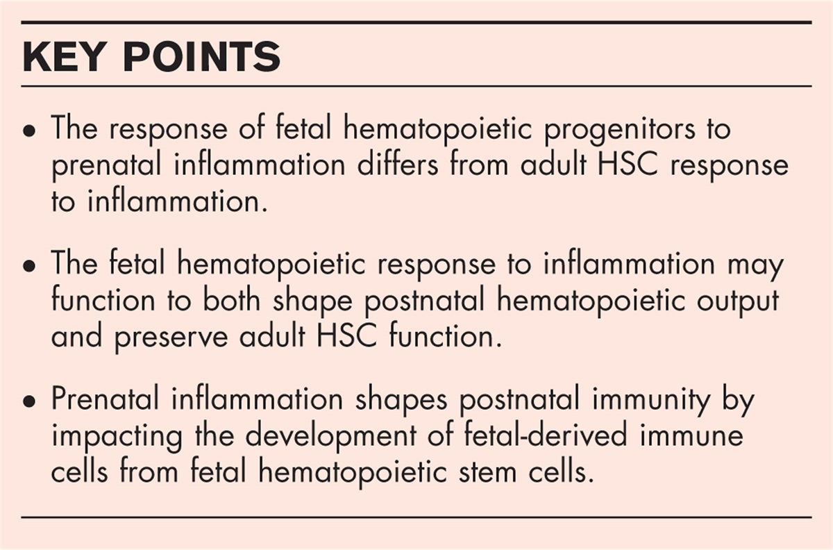The impact of prenatal inflammation on hematopoietic development