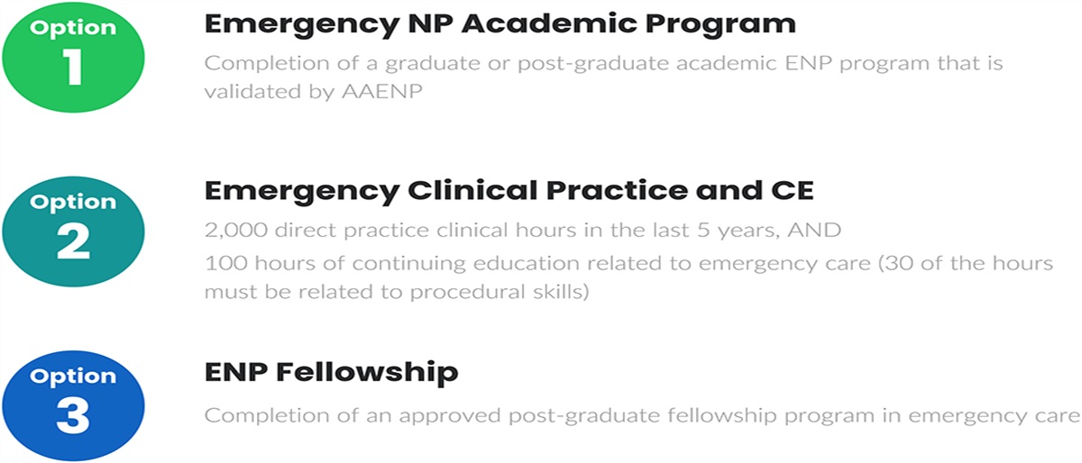 Analysis of nurse practitioner practice in US emergency departments: Evidence supporting educational preparation, credentialing, scope of practice, and outcomes