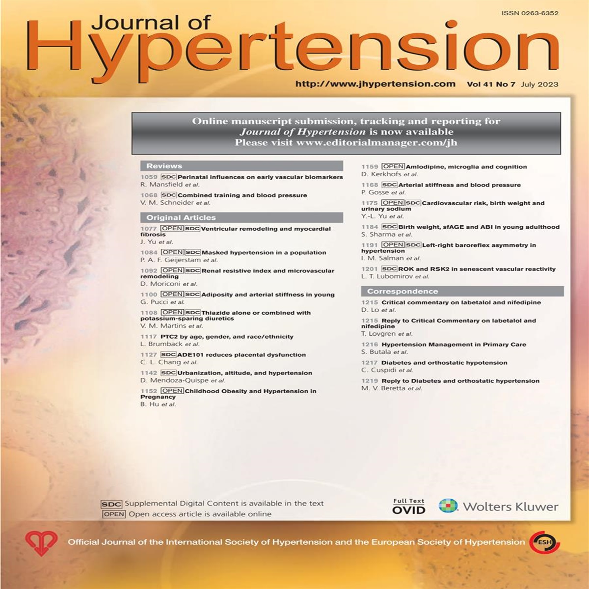 Critical commentary on labetalol and nifedipine use in postpartum hypertension management