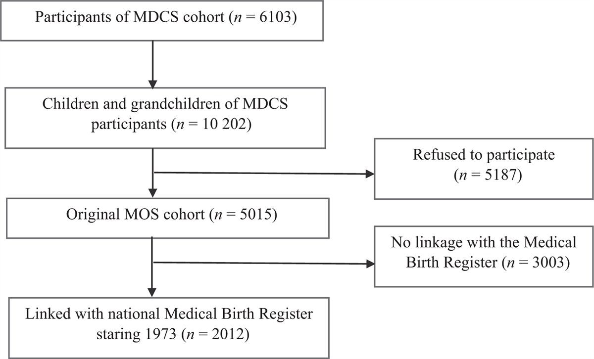 Associations between birth parameters and skin autofluorescence advanced glycation end products and ankle–brachial index in young adulthood: the Malmö Offspring Study
