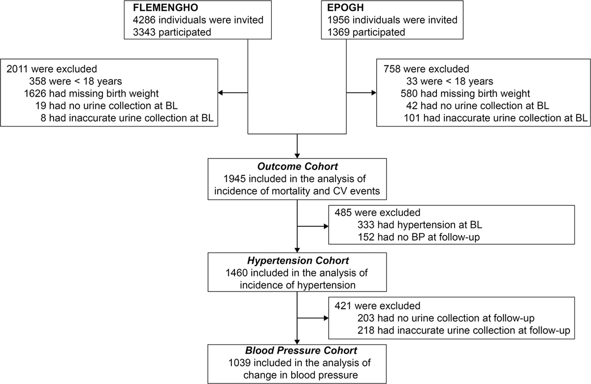 Blood pressure and cardiovascular risk in relation to birth weight and urinary sodium: an individual-participant meta-analysis of European family-based population studies