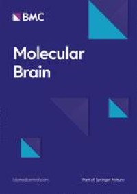 Loosely synchronized activation of anterior cingulate cortical neurons for scratching response during histamine-induced itch