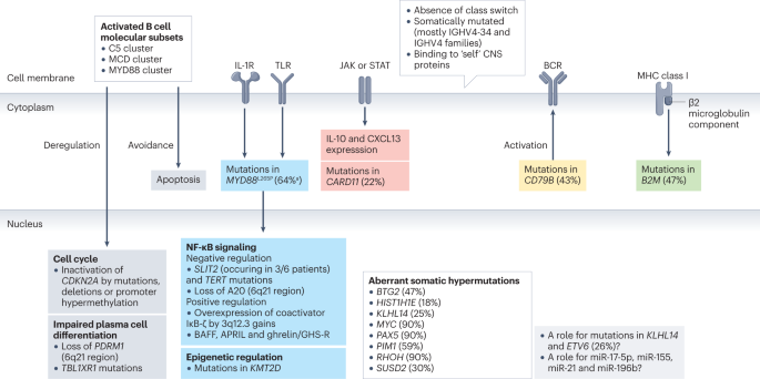 Primary central nervous system lymphoma
