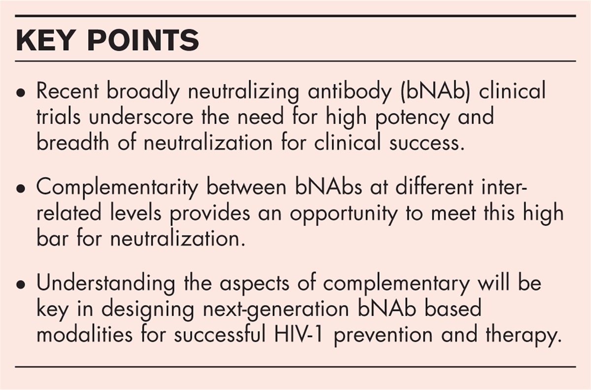 Divide and conquer: broadly neutralizing antibody combinations for improved HIV-1 viral coverage
