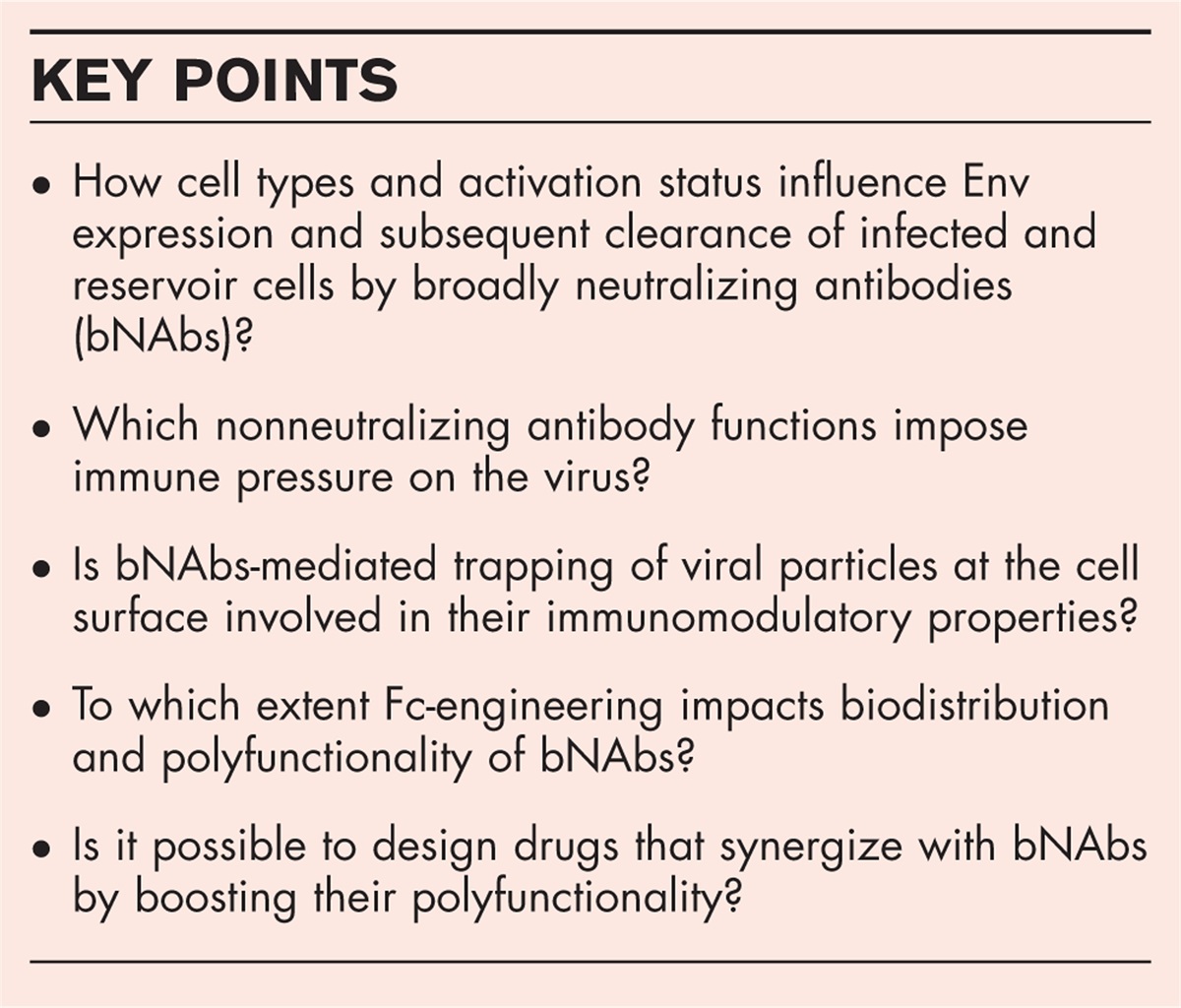 Polyfunctionality of broadly neutralizing HIV-1 antibodies
