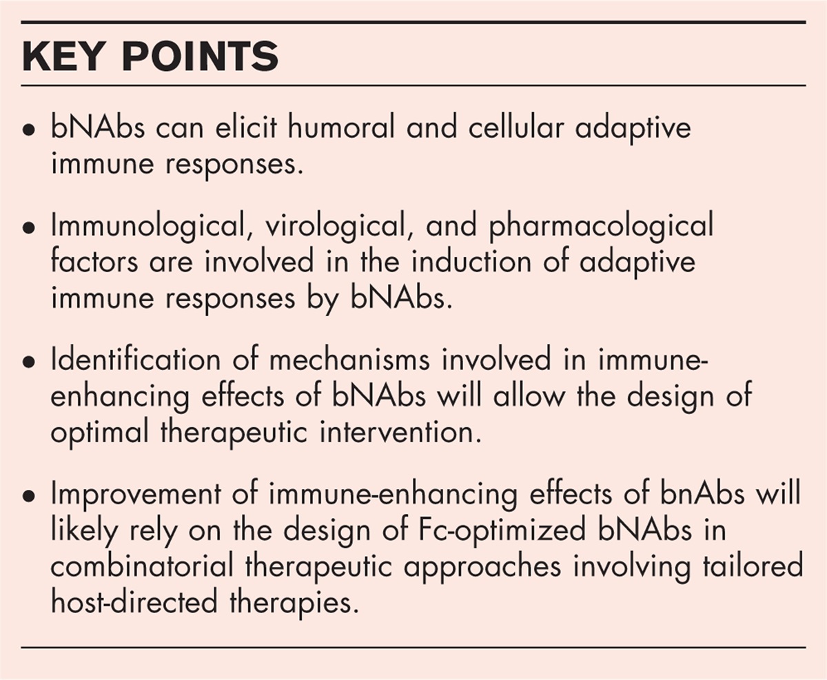 Vaccinal effect of HIV-1 antibody therapy: dream or reality?