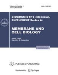 BAR Domain Proteins as Putative Regulators of the Protein Liquid Phase in Nerve Terminals in the Central Nervous System
