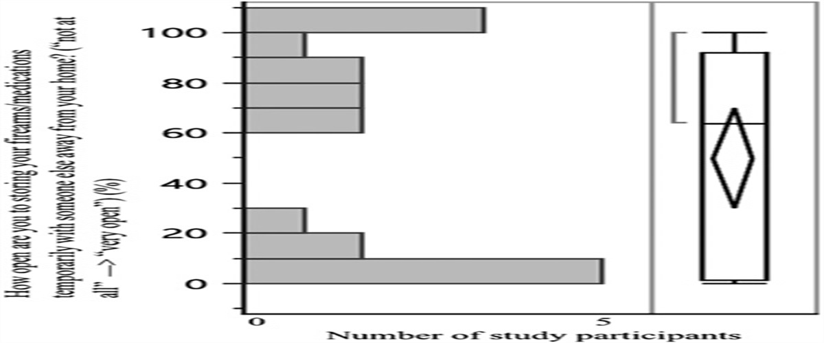 Studying the Feasibility and Acceptability of an Interactive Web-based Lethal Means Safety Decision Aid for Hospitalized Adults With Suicide Risk (Lock to Live)