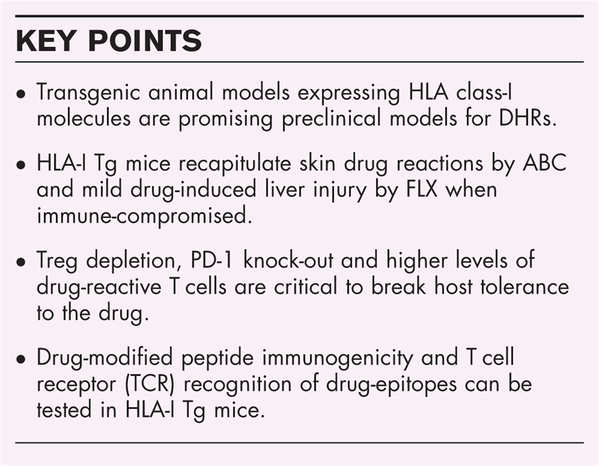 Transgenic murine models for the study of drug hypersensitivity reactions linked to HLA-I molecules