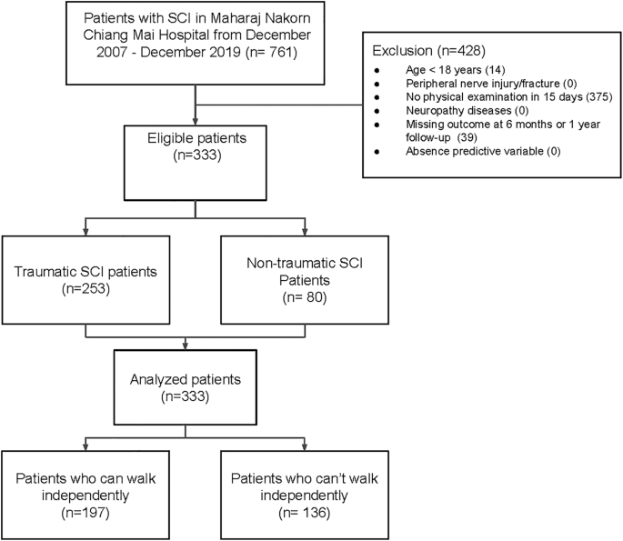 Performance of the Dutch clinical prediction rule for the ambulation outcome after spinal cord injury in a middle-income country clinical setting: an external validation study in the Thai retrospective cohort