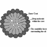 ﻿Nanoemulsions as medicinal components in insoluble medicines