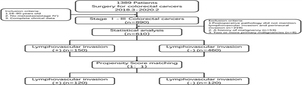 Prognostic Analysis of Lymphovascular Invasion in Stages I–III Colorectal Cancer: A Retrospective Study Based on Propensity Score Match