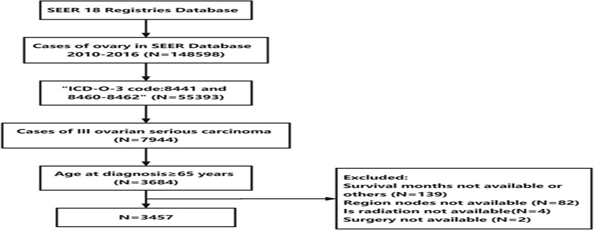 Prognostic Value of Lymph Node Parameters in Elderly Patients With Stage III Serous Ovarian Cancer Based on Competing Risk Model