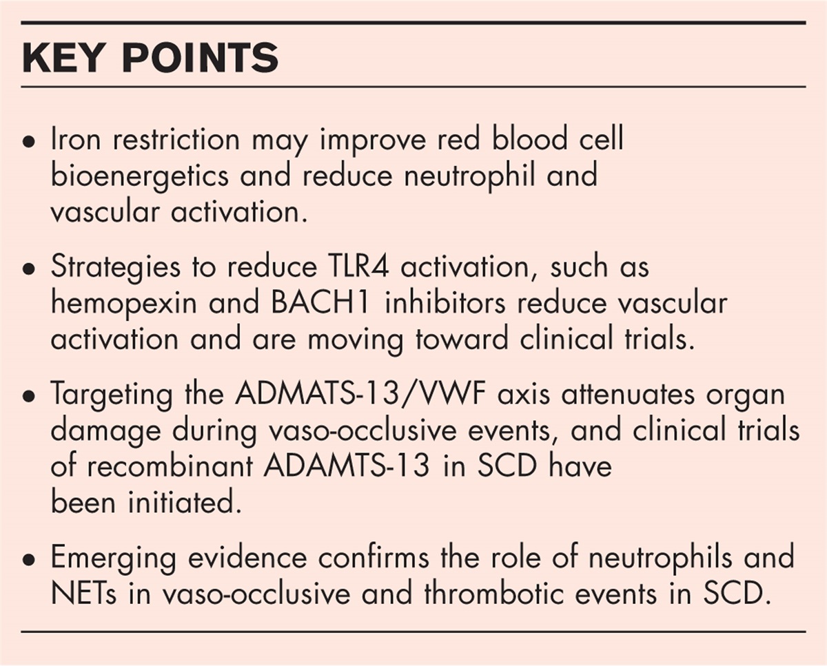 The invisible string of coagulation, complement, iron, and inflammation in sickle cell disease