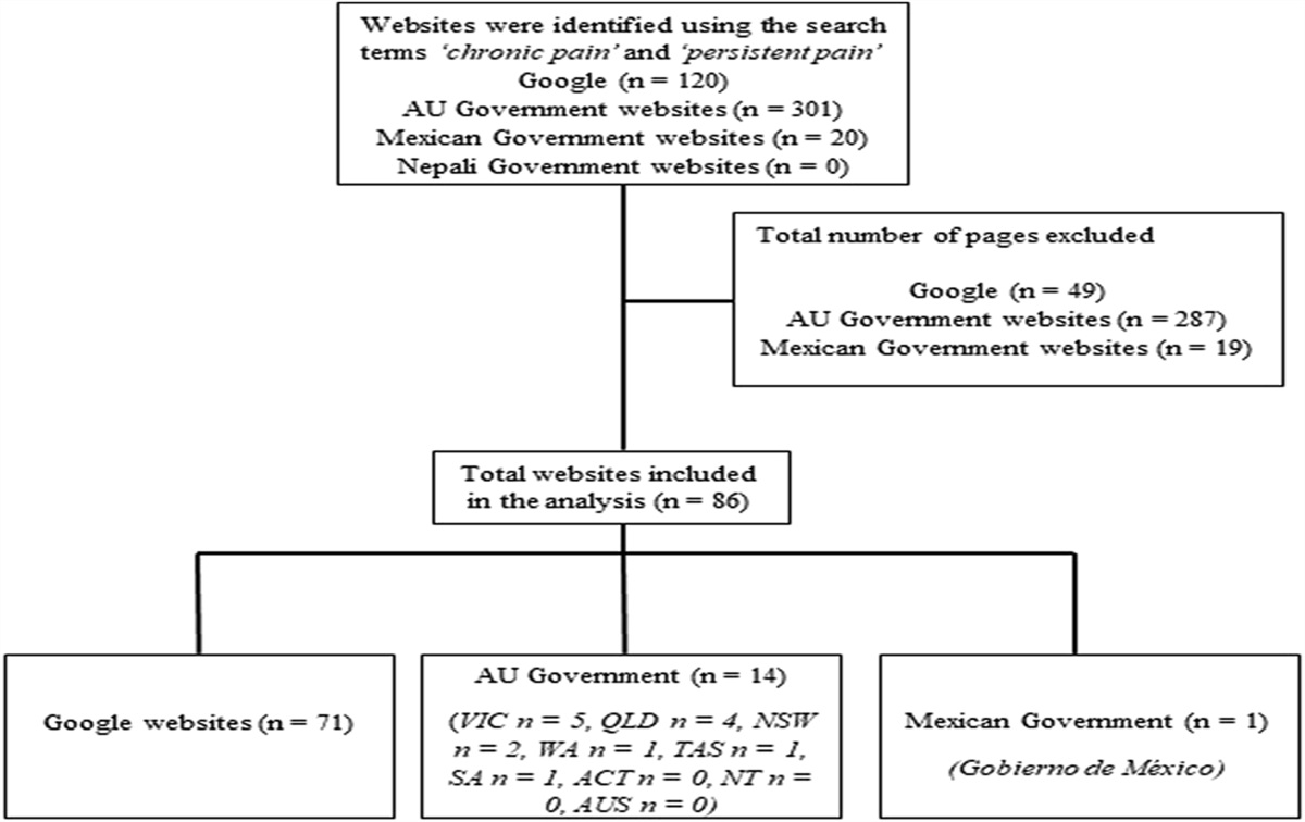 Online information on chronic pain in 3 countries: an assessment of readability, credibility, and accuracy