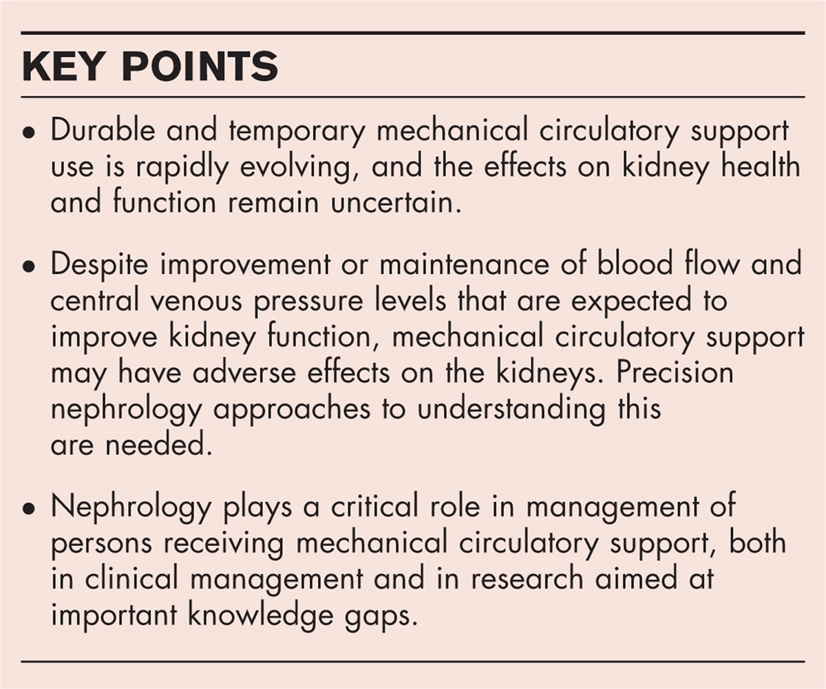 Kidney health and function with left ventricular assist devices