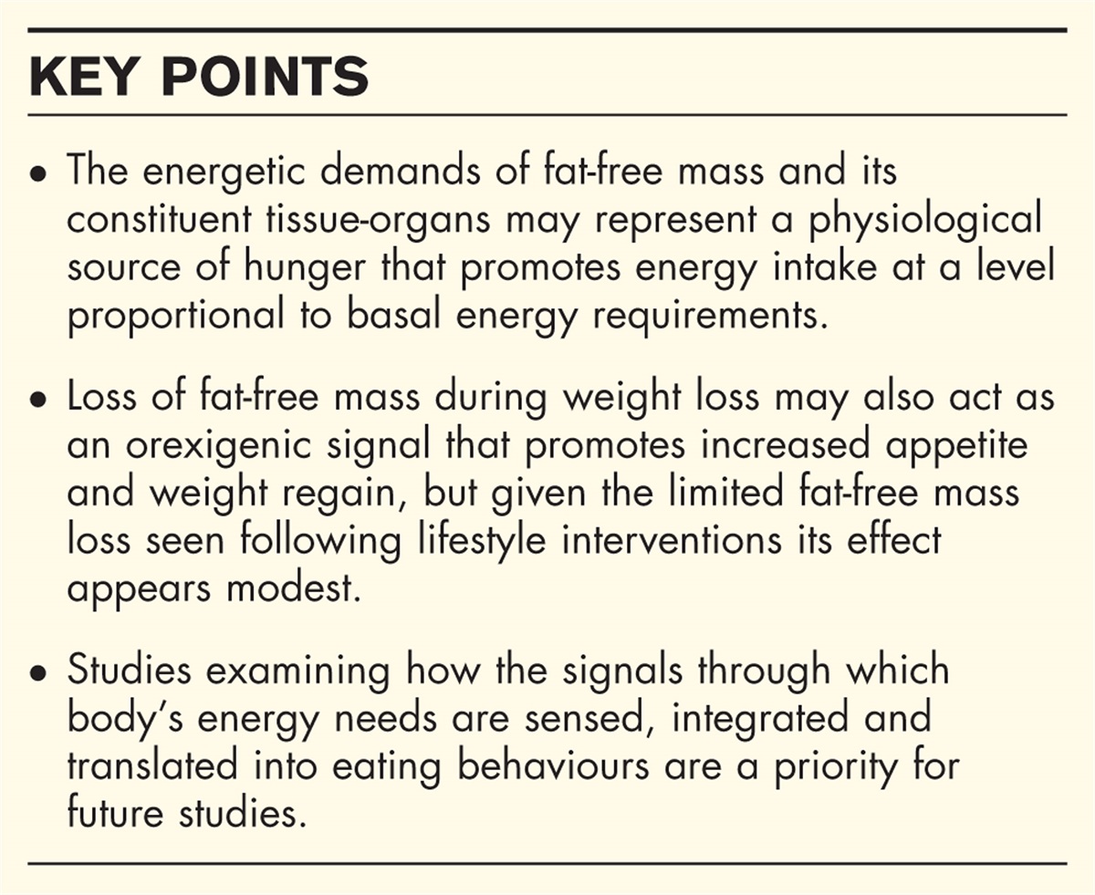 The importance of fat-free mass and constituent tissue-organs in the control of human appetite
