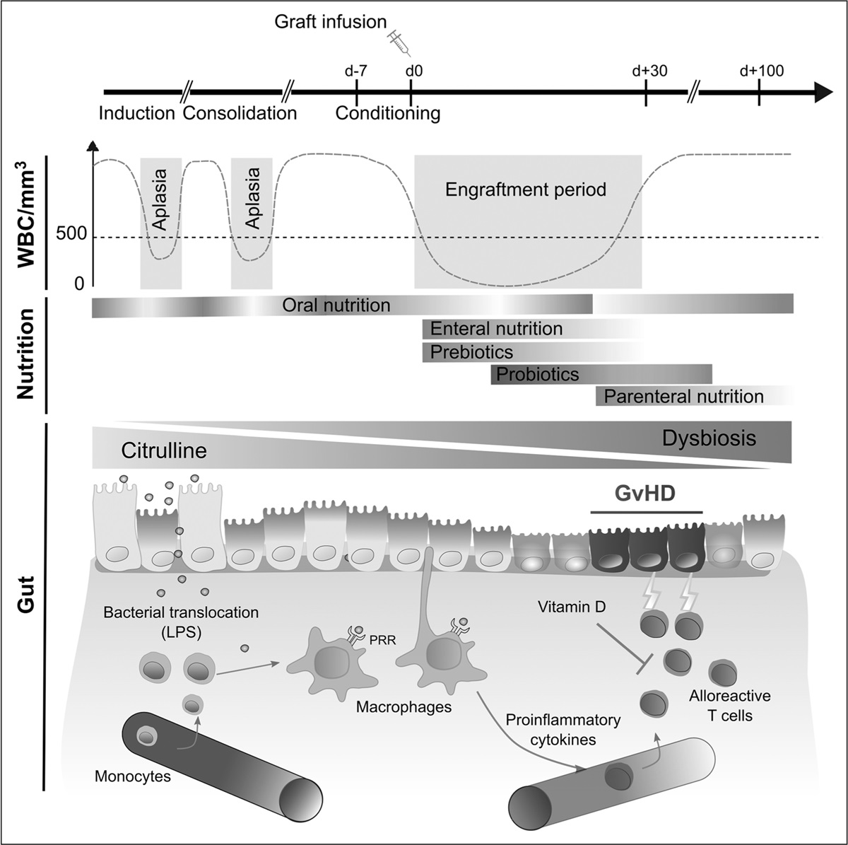 Nutritional interventions in patients with graft-versus-host disease