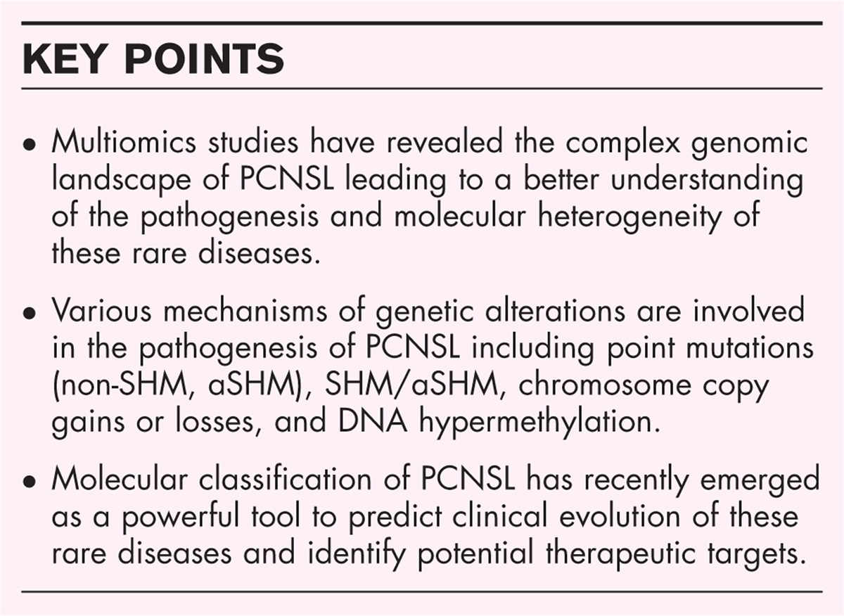 Pathology and new insights in central nervous system lymphomas