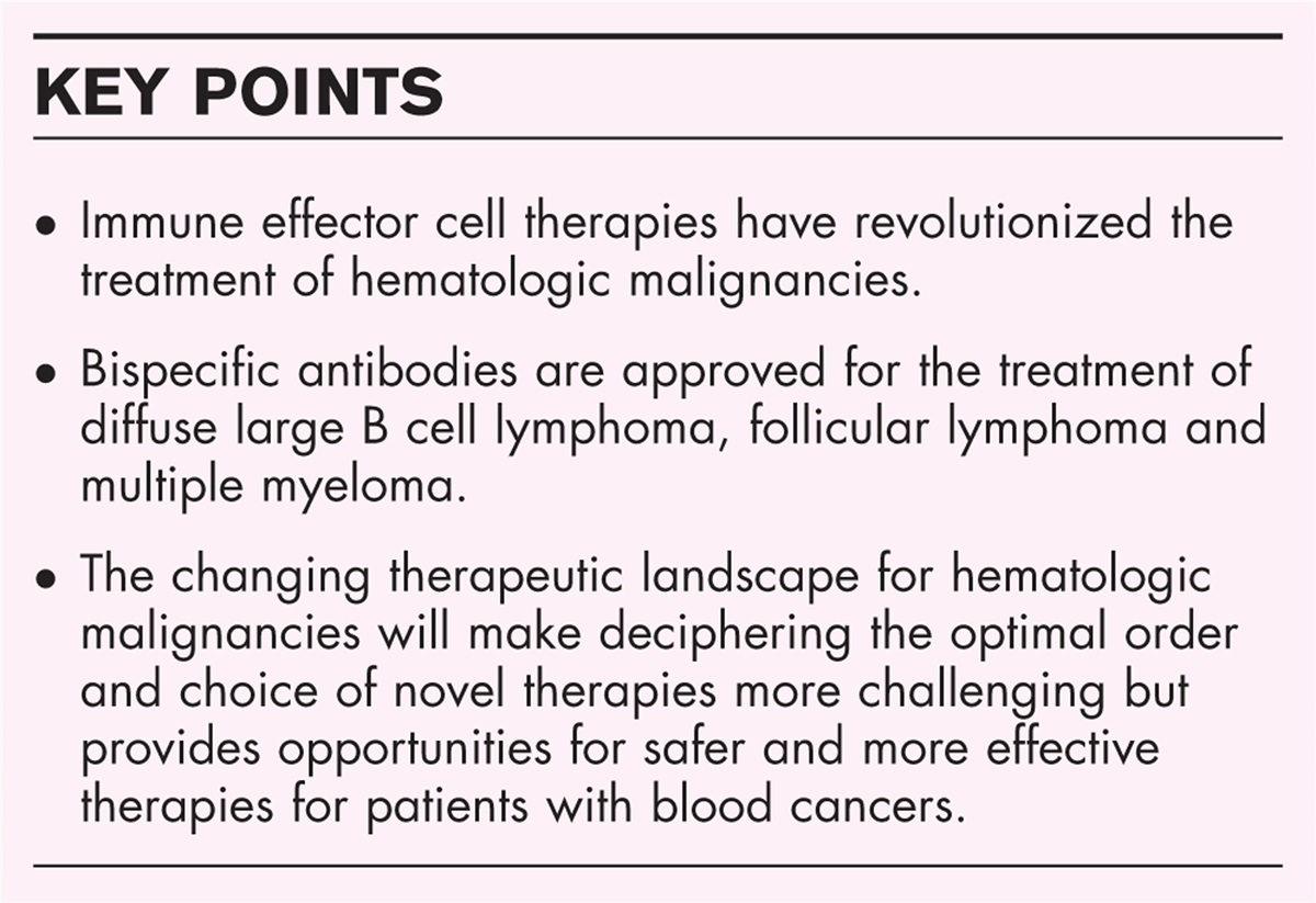Update on bi-specific monoclonal antibodies for blood cancers