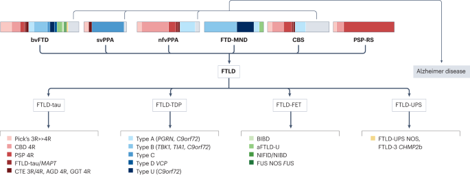 Frontotemporal lobar degeneration