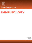 Aging of lymphoid stromal architecture impacts immune responses