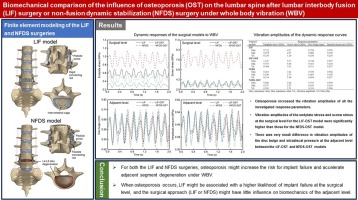 Biomechanical comparison of the influence of osteoporosis on the lumbar spine after lumbar interbody fusion surgery or non-fusion dynamic stabilization surgery under whole body vibration