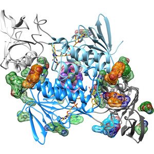 Novel starting points for fragment-based drug design against mycobacterial thioredoxin reductase identified using crystallographic fragment screening