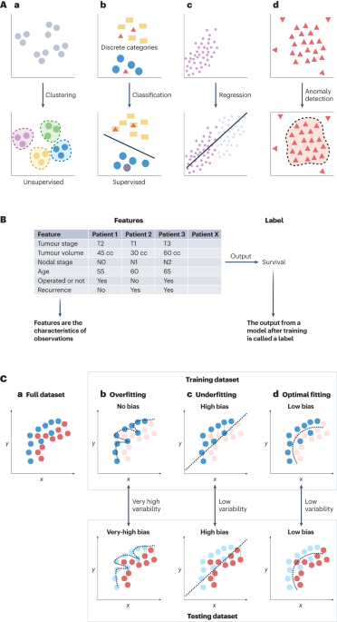 Bioinformatics in urology — molecular characterization of pathophysiology and response to treatment