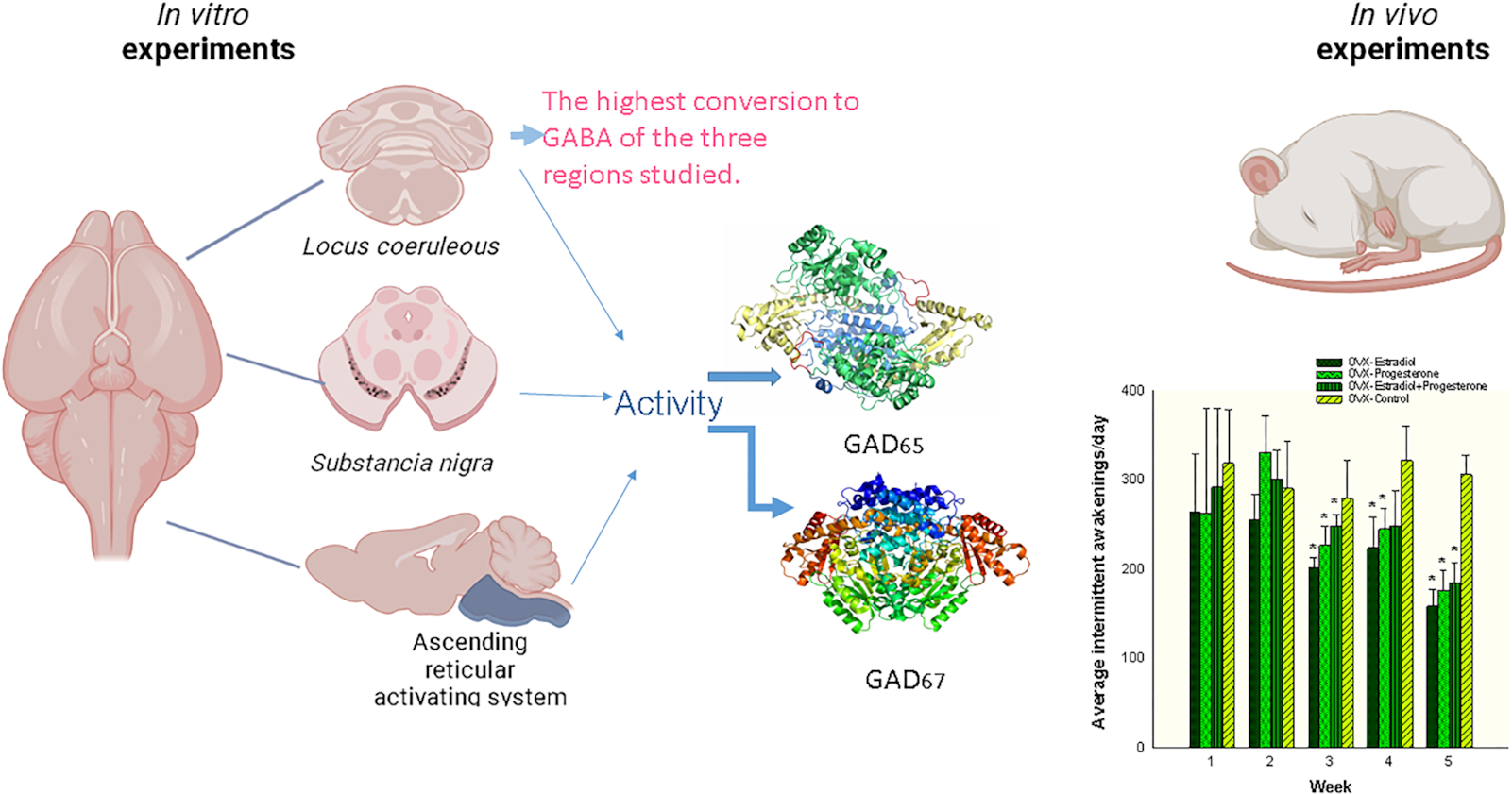 Sex hormone dose escalation for treating abnormal sleep in ovariectomized rats: in vitro GABA synthesis in sleep-related brain areas