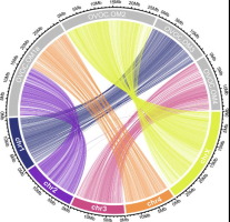 Genome structure and population genomics of the canine heartworm Dirofilaria immitis